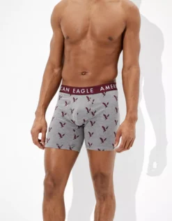 AEO Eagles 6" Classic Boxer Brief