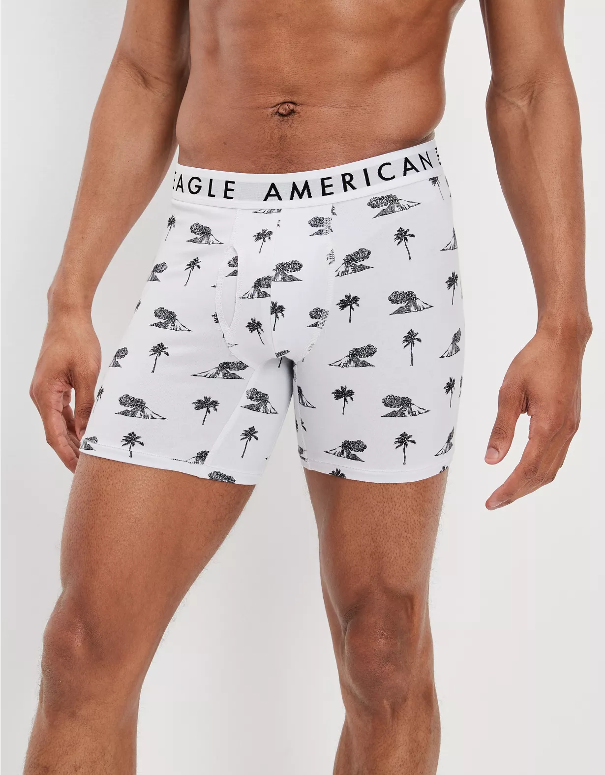 AEO Volcano Isle 6" Classic Boxer Brief 1 AEO Volcano Isle 6" Classic Boxer Brief