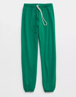 OFFLINE By Aerie OTT Fleece Jogger -Soft Leaf 1703 1176 860 f